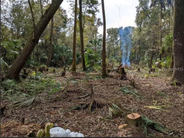 11939 W WILDFLOWER STREET , CRYSTAL RIVER, FL 34428