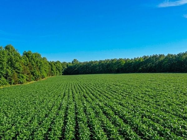 0 Doe Road , Saltillo, TN 38370