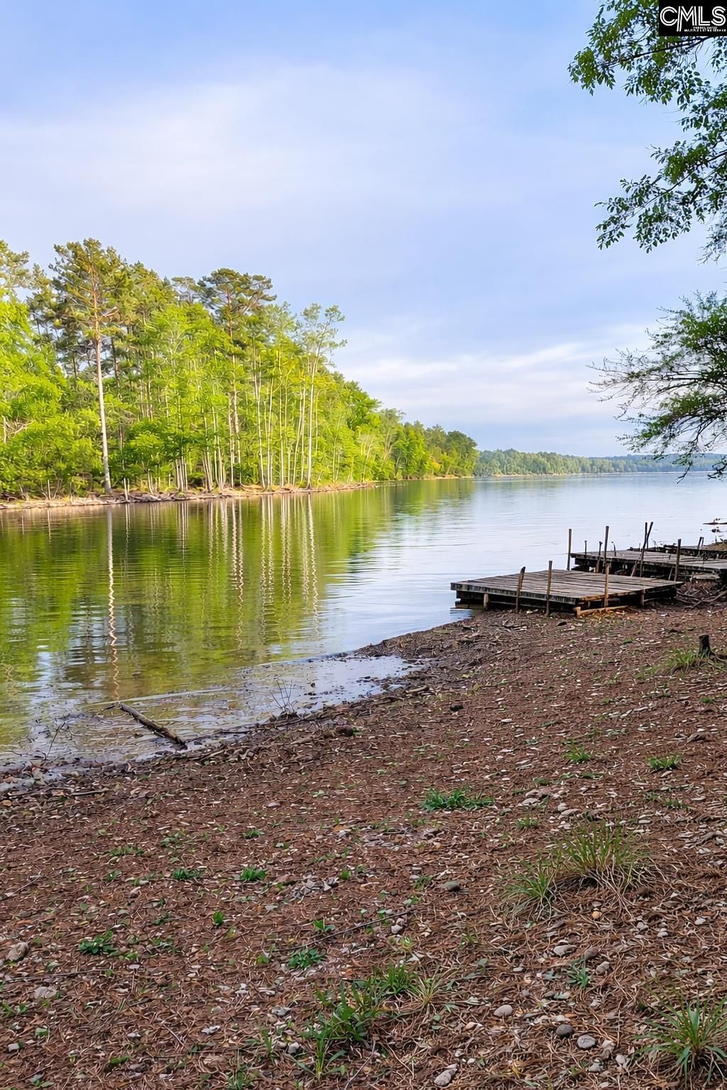 111 Saluda Shores Circle Photo 9