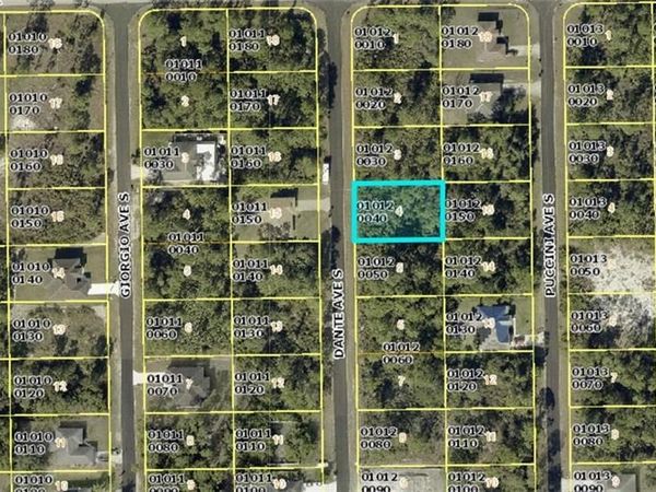723 Dante AVE S, LEHIGH ACRES, FL 33974