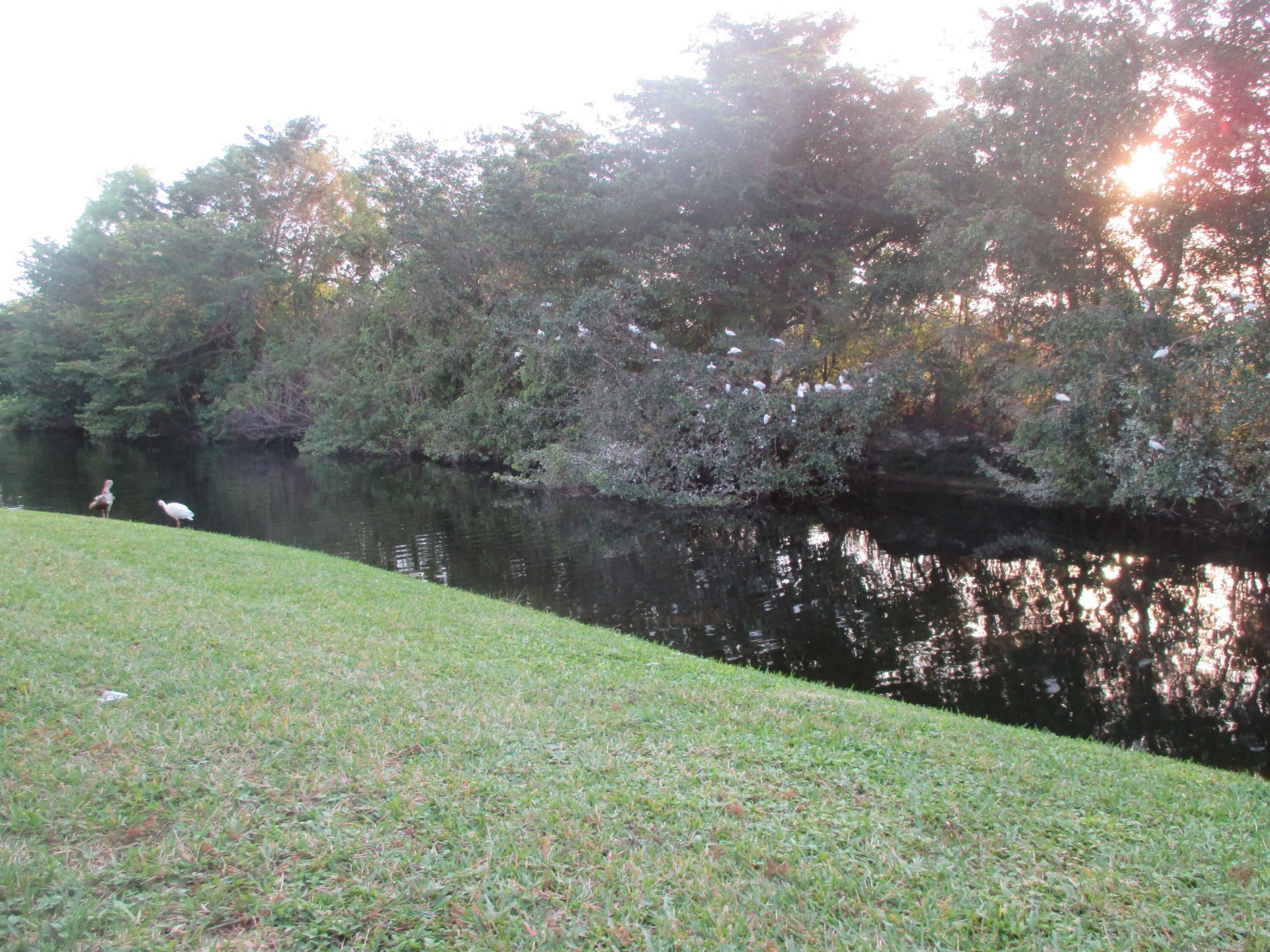 200 Lake Carol Drive, West Palm Beach, FL 33411 Photo