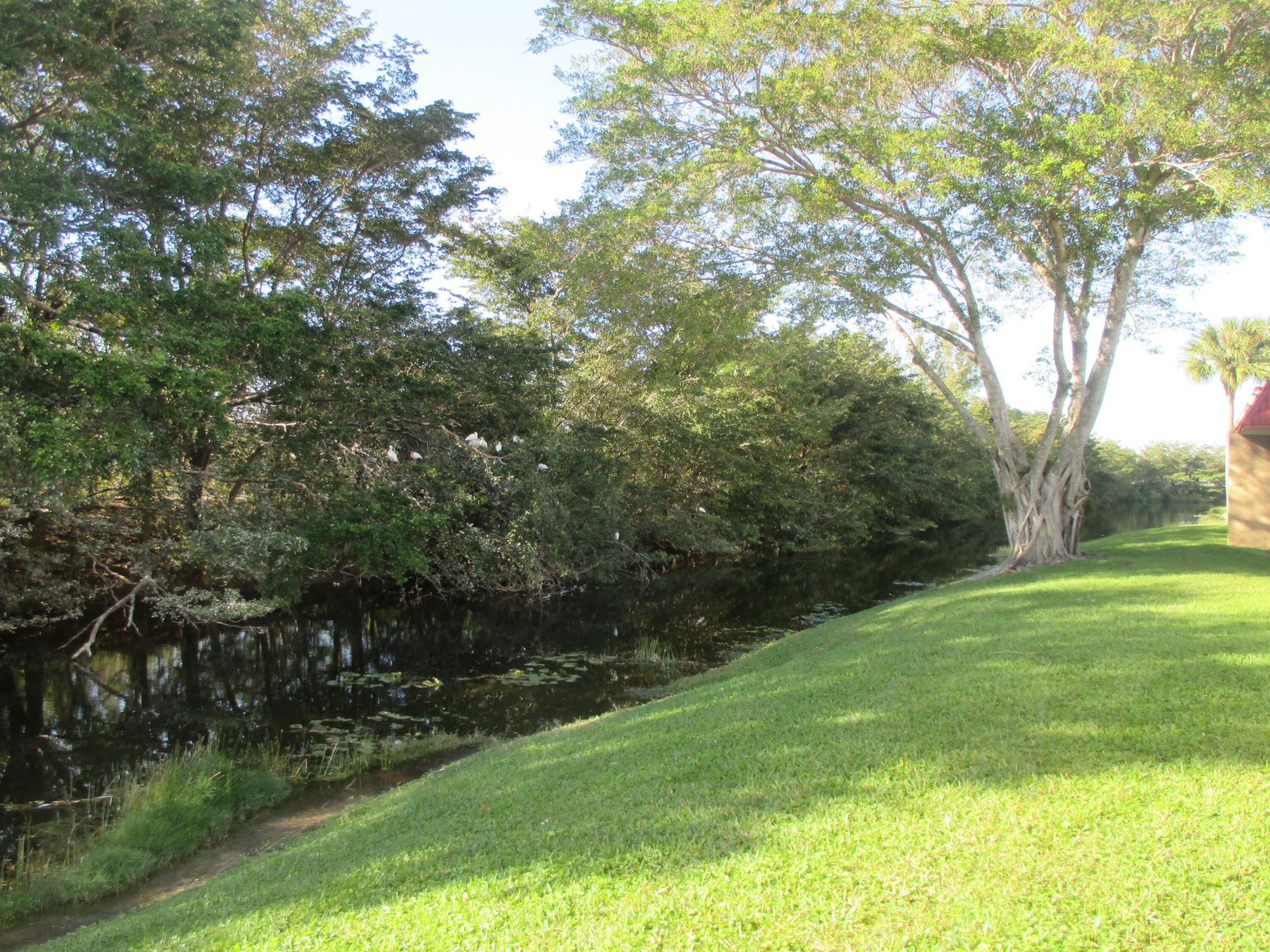 200 Lake Carol Drive, West Palm Beach, FL 33411 Photo
