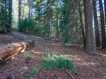 1946 Osage Circle, South Lake Tahoe, CA 96150 Photo