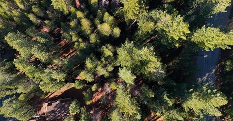 1946 Osage Circle, South Lake Tahoe, CA 96150 Photo