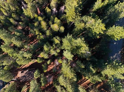 1946 Osage Circle, South Lake Tahoe, CA 96150 Photo