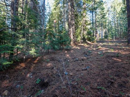 1946 Osage Circle, South Lake Tahoe, CA 96150 Photo