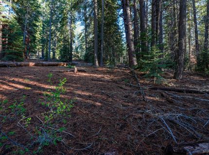 1946 Osage Circle, South Lake Tahoe, CA 96150 Photo