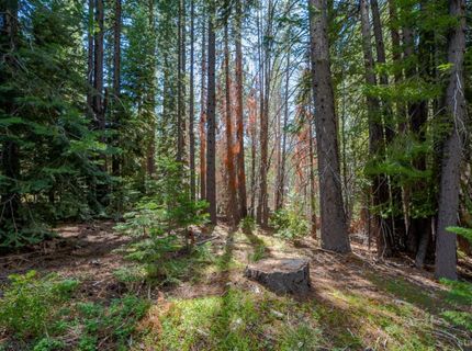 1952 Osage Circle, South Lake Tahoe, CA 96150 Photo