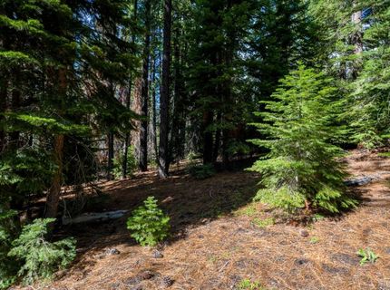 1952 Osage Circle, South Lake Tahoe, CA 96150 Photo