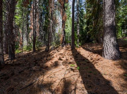 1952 Osage Circle, South Lake Tahoe, CA 96150 Photo