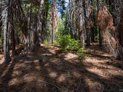 1952 Osage Circle, South Lake Tahoe, CA 96150 Photo