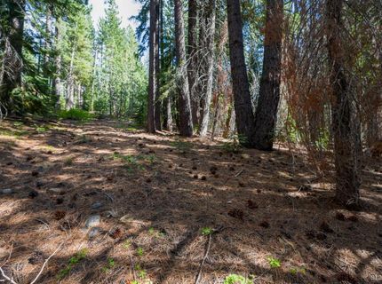 1952 Osage Circle, South Lake Tahoe, CA 96150 Photo