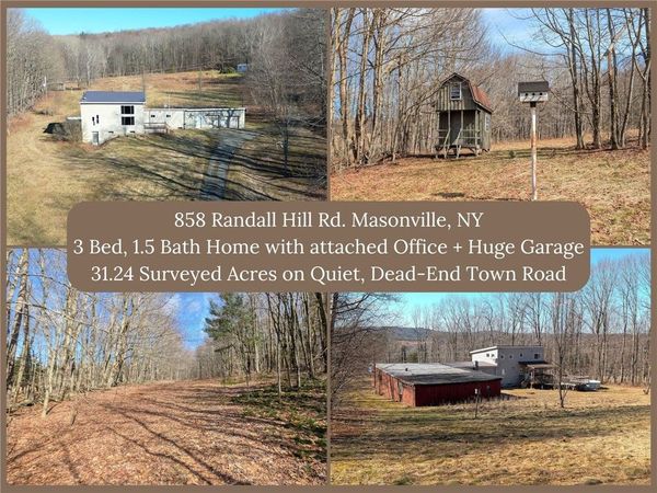 858 Randall Hill Road , Masonville, NY 13839