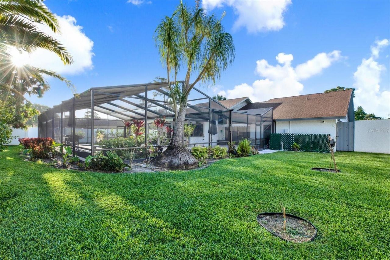 4303 Middle Lake Drive, Tampa, FL 33624 Photo