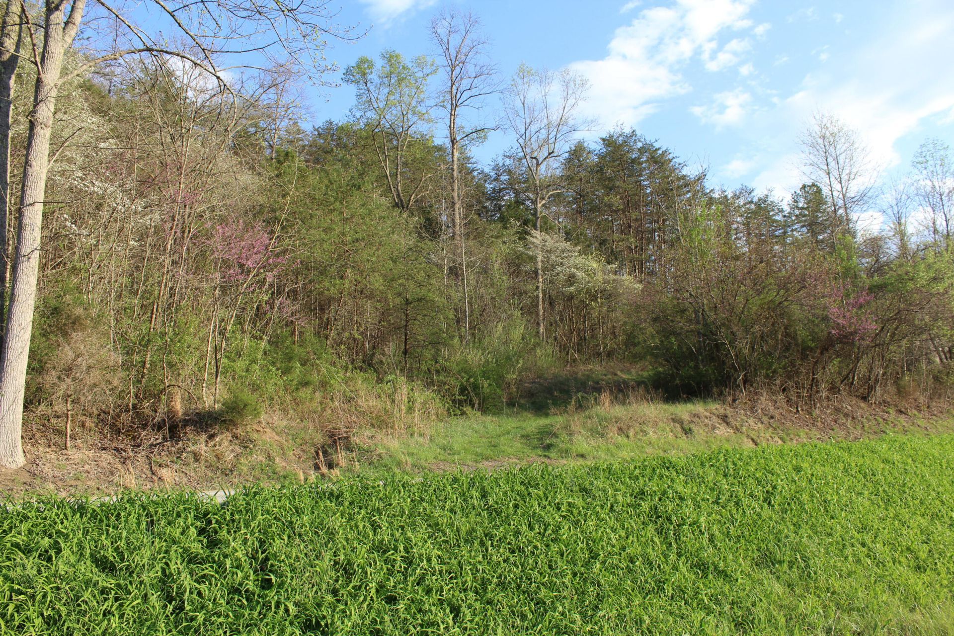 3602 Wagersville Road, Irvine, KY 40336 Main Photo