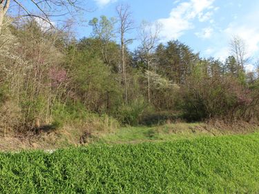 3602 Wagersville Road, Irvine, KY 40336