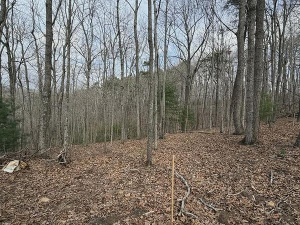 Tract B2 Mountain Ridge, Blue Ridge, GA 30513