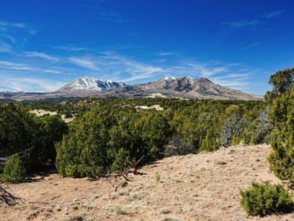 127 Navajo Ranch Resort, Walsenburg, CO 81089