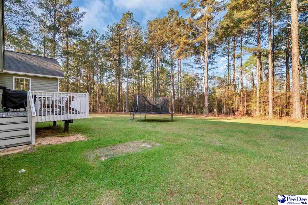 40 Thistledown Lane Photo 14