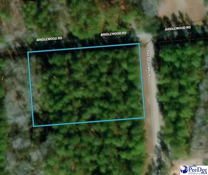 40 Thistledown Lane Photo 59