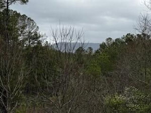 851 Stansbury Mountain Road , Copperhill, TN 37317