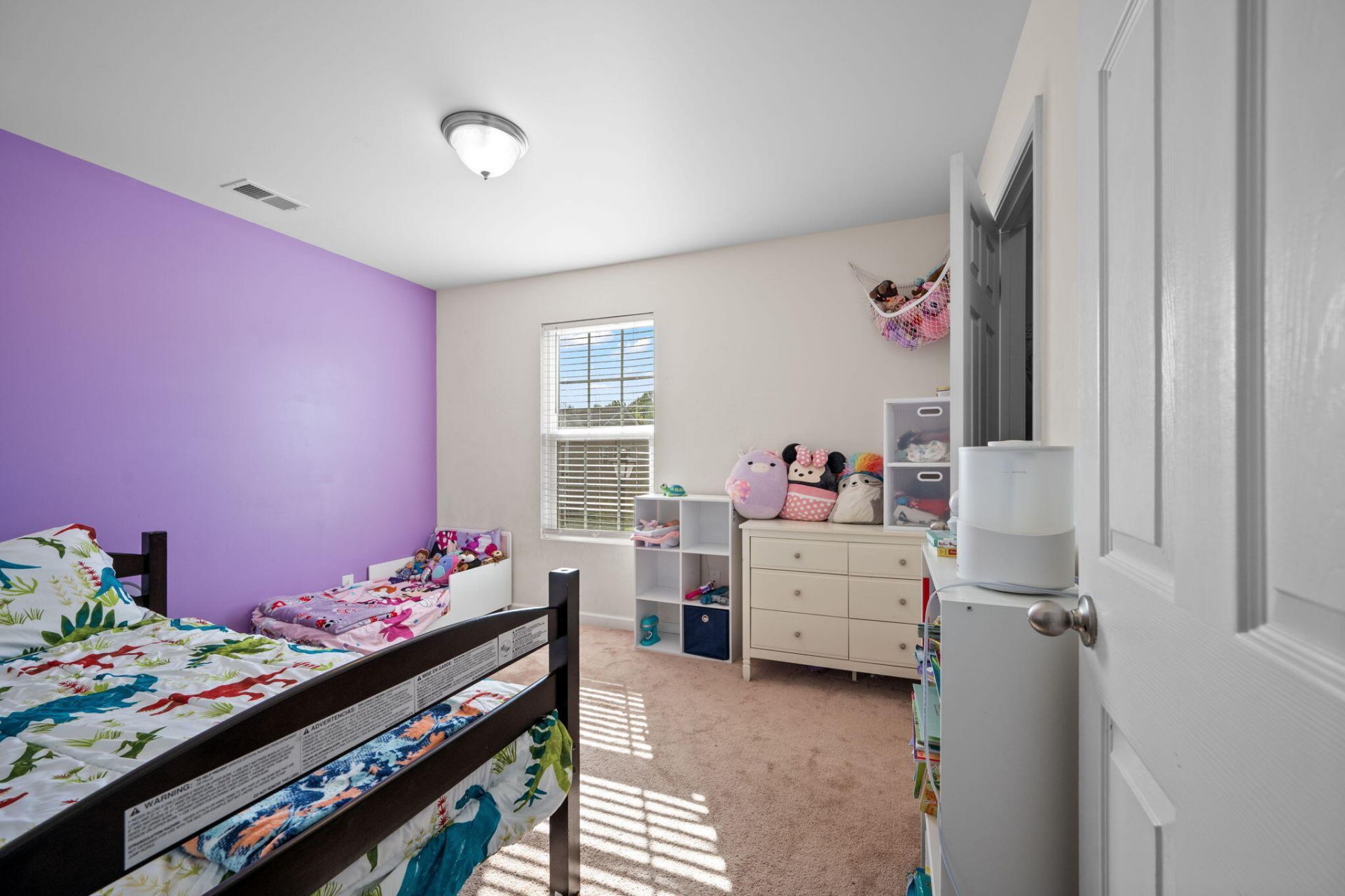 1686 Eider Down Drive Photo 22