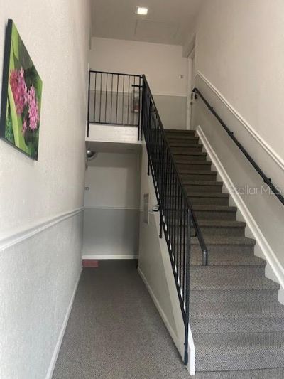136 Pompano Drive Se, Unit D, Saint Petersburg, FL 33705 Photo