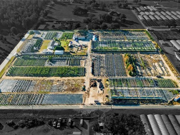 4004 REX DRIVE , WINTER GARDEN, FL 34787