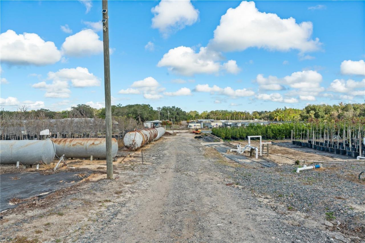 4004 Rex Drive, Winter Garden, FL 34787 Photo