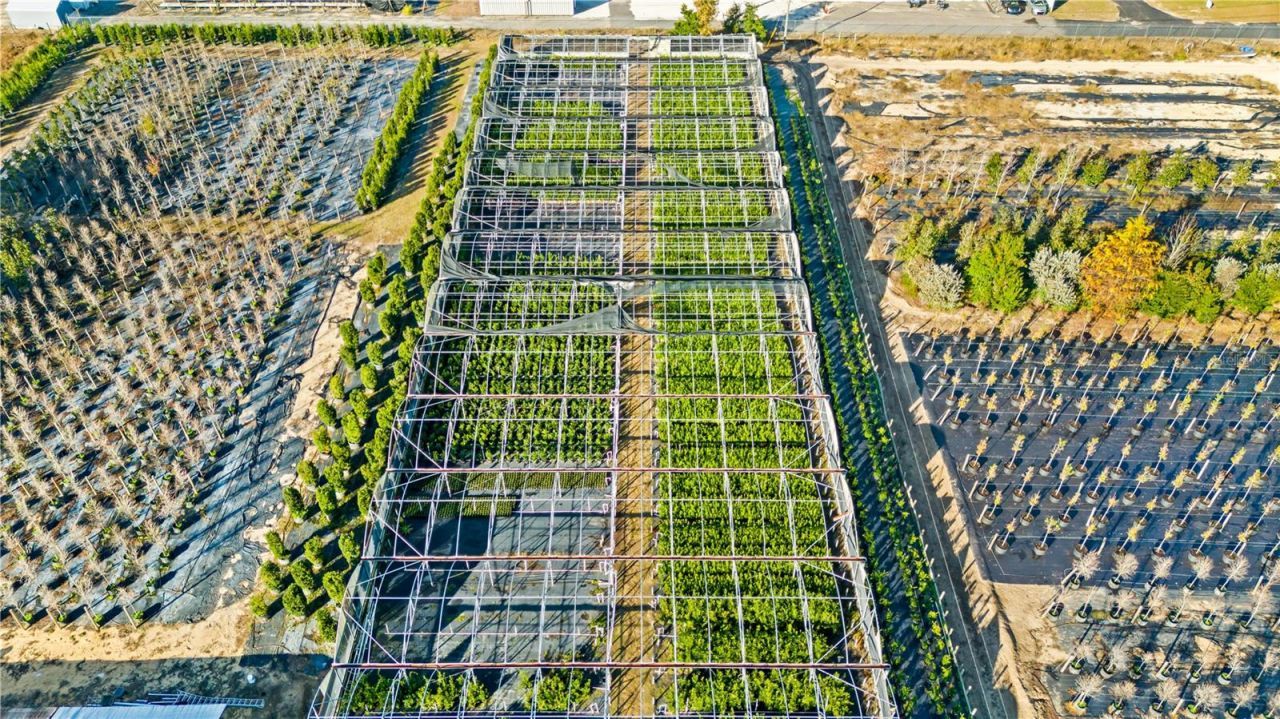 4004 Rex Drive, Winter Garden, FL 34787 Photo