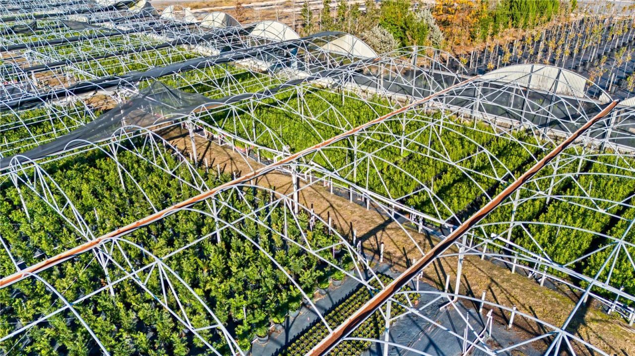 4004 Rex Drive, Winter Garden, FL 34787 Photo