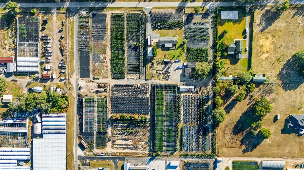 4004 Rex Drive, Winter Garden, FL 34787 Photo