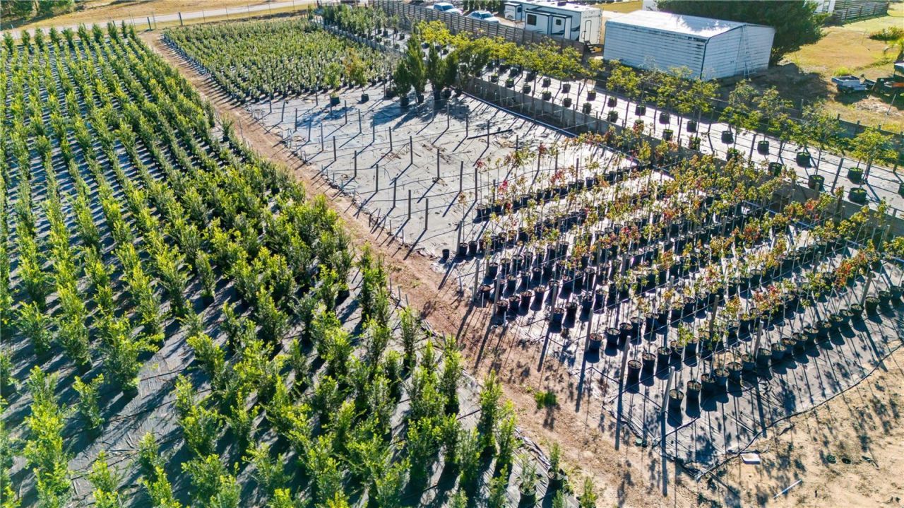 4004 Rex Drive, Winter Garden, FL 34787 Photo