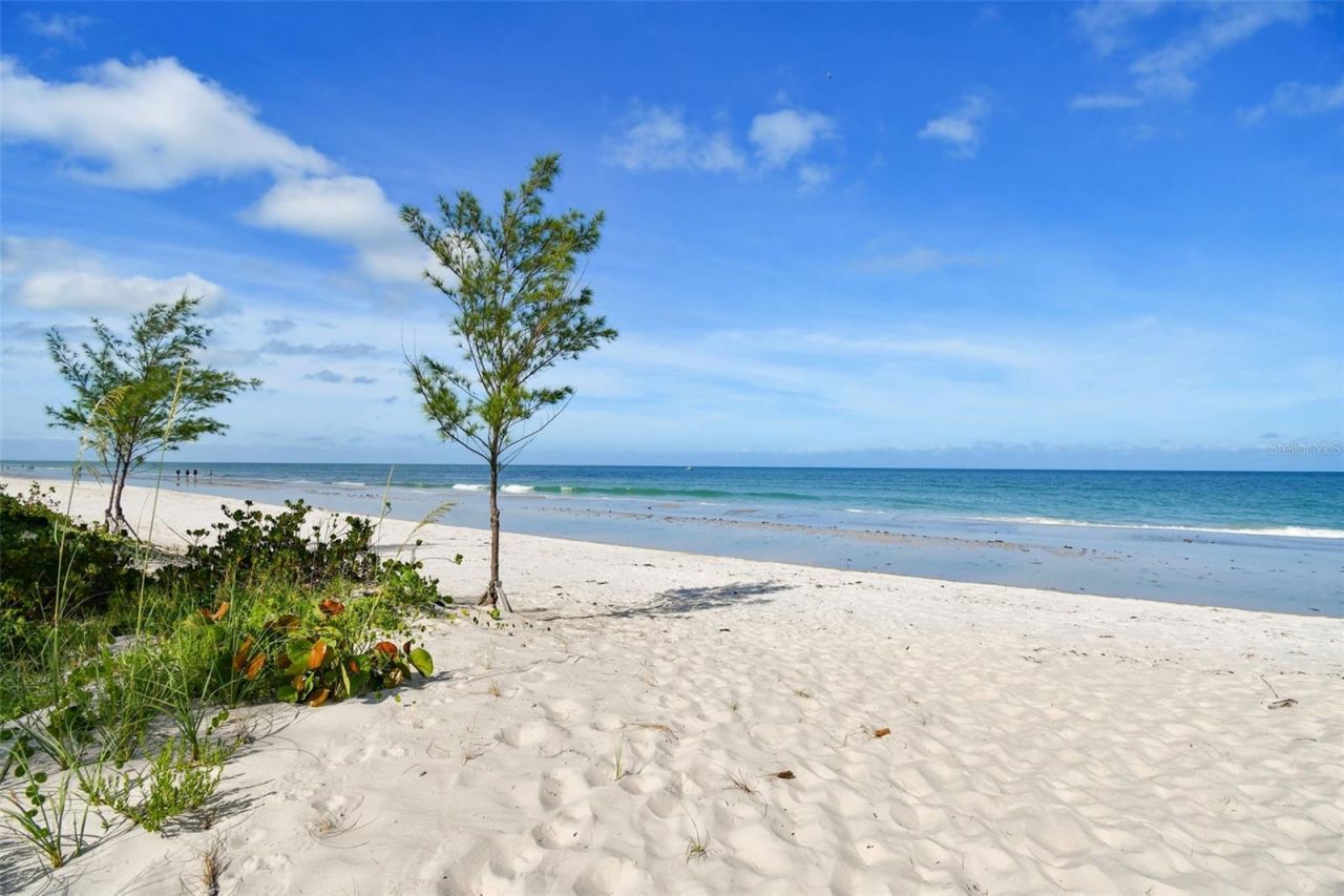 20204 Gulf Boulevard, Unit 3, Indian Shores, FL 33785 Photo