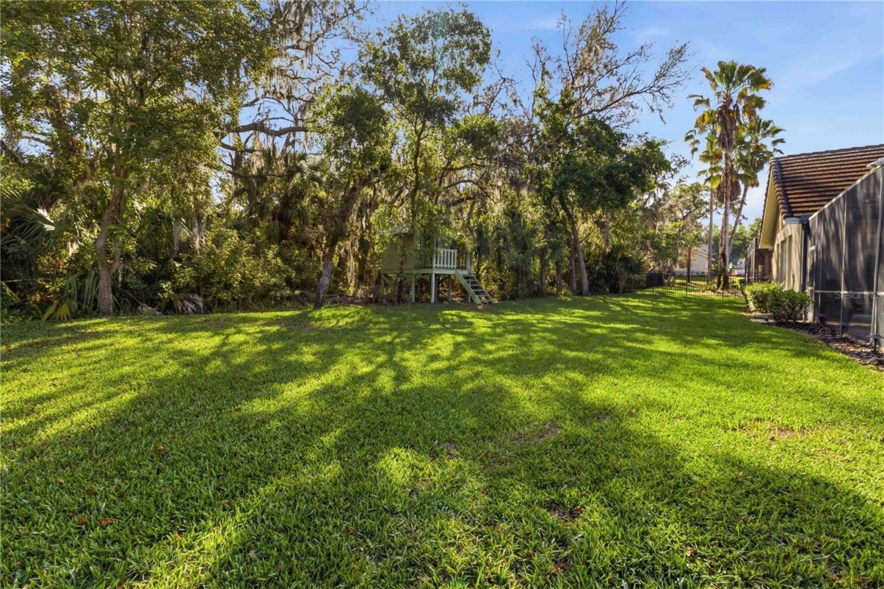 15108 Kestrelglen Way, Lithia, FL 33547 Photo