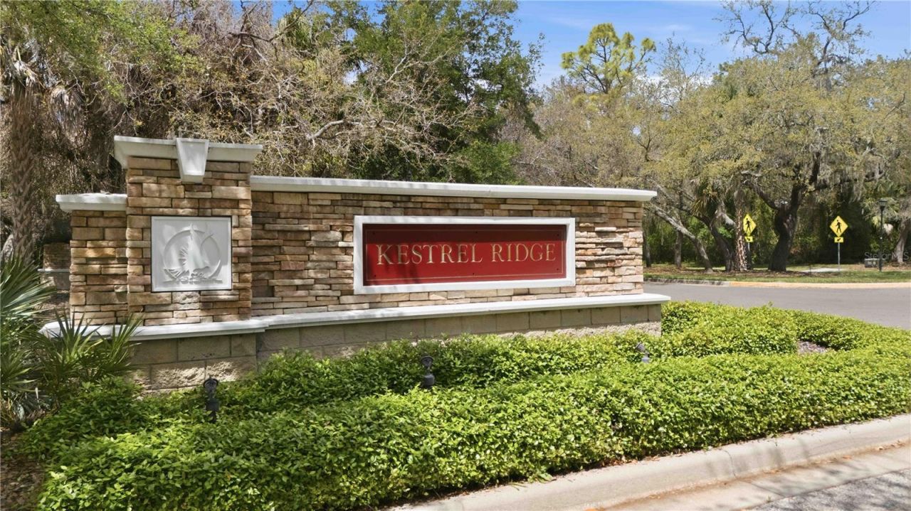 15108 Kestrelglen Way, Lithia, FL 33547 Photo