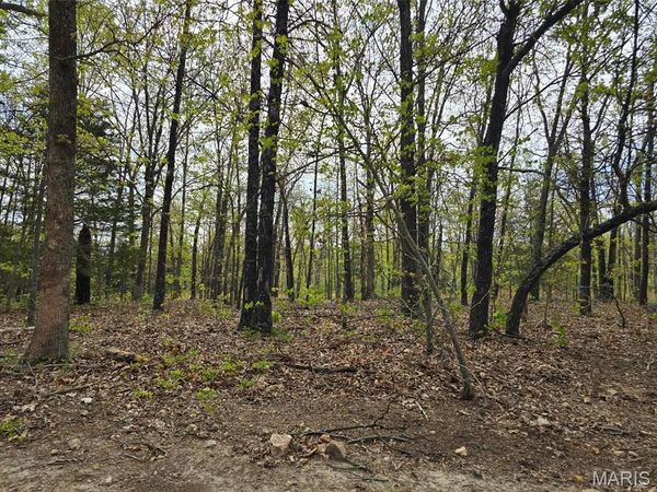 Tract M Greatview Lane , Lebanon, MO 65536