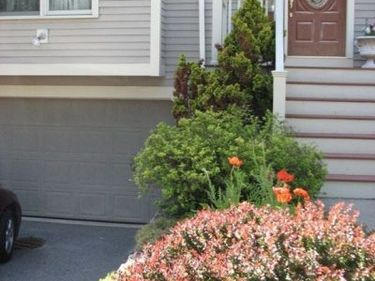 21 Vincent, Unit 21, Belmont, MA 02478