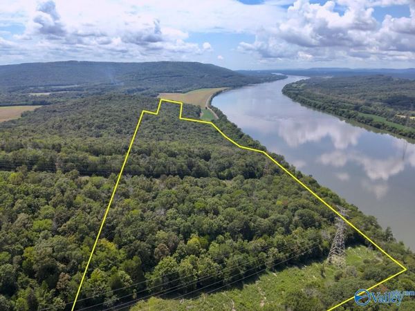 100 Acres County Road 91, Bryant, AL 35772