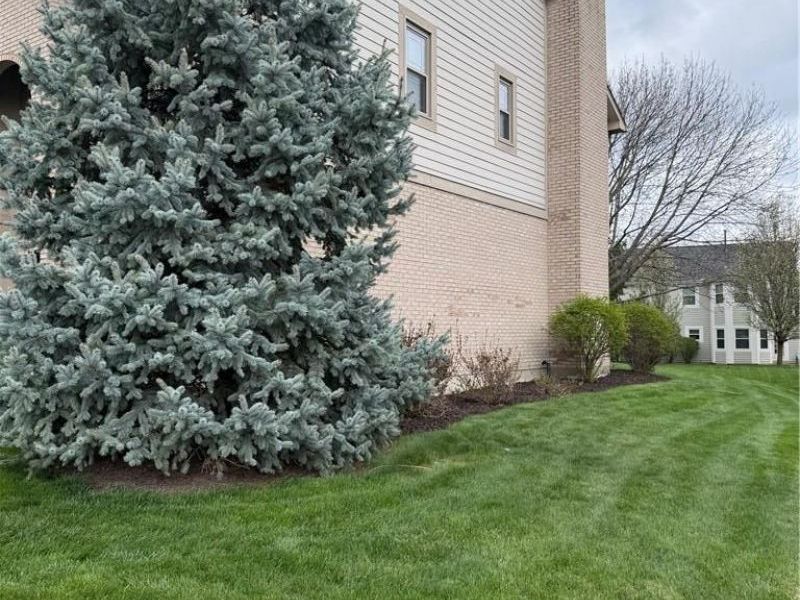 1629 Sunnington Grove Drive, Washington Township, OH 45458 Photo 36