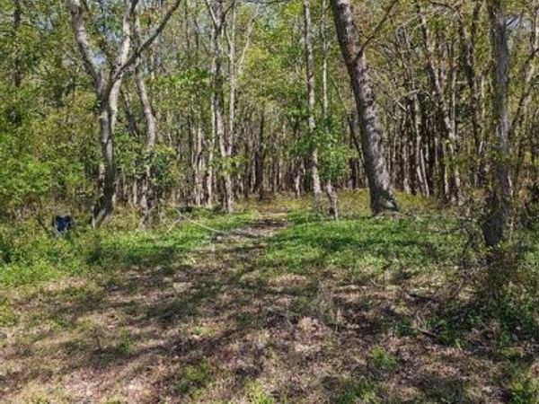 5071 WAYMAN ROAD, MARION STATION, MD 21838