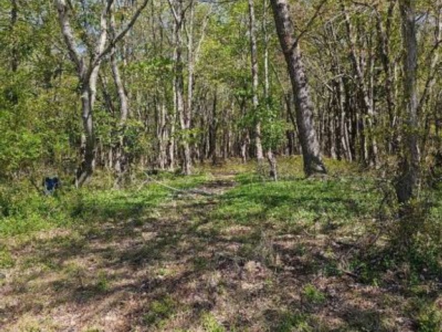 5071 Wayman Road, Marion Station, MD 21838 Main Photo