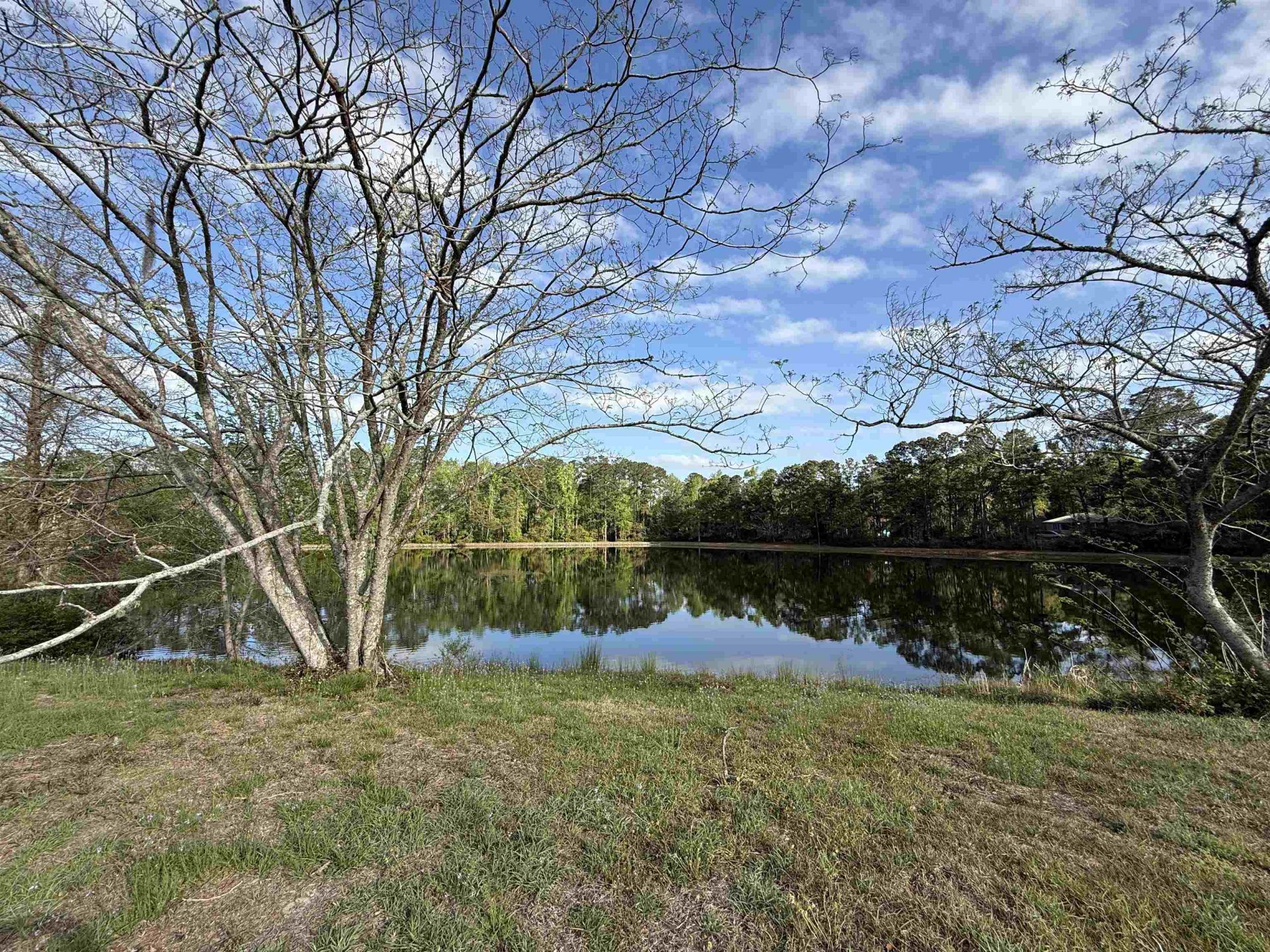 1035 Martin Ln. Photo 12