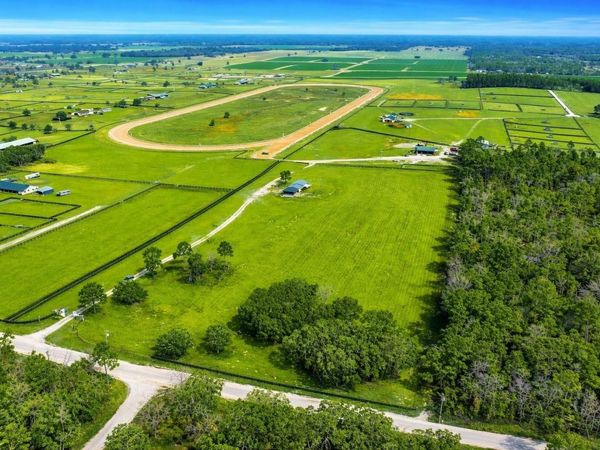 12451 NE 20TH STREET , WILLISTON, FL 32696