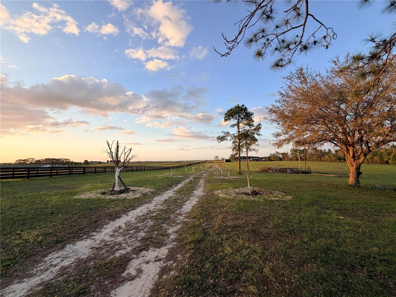 12451 NE 20th Street , Williston, FL 32696 Photo