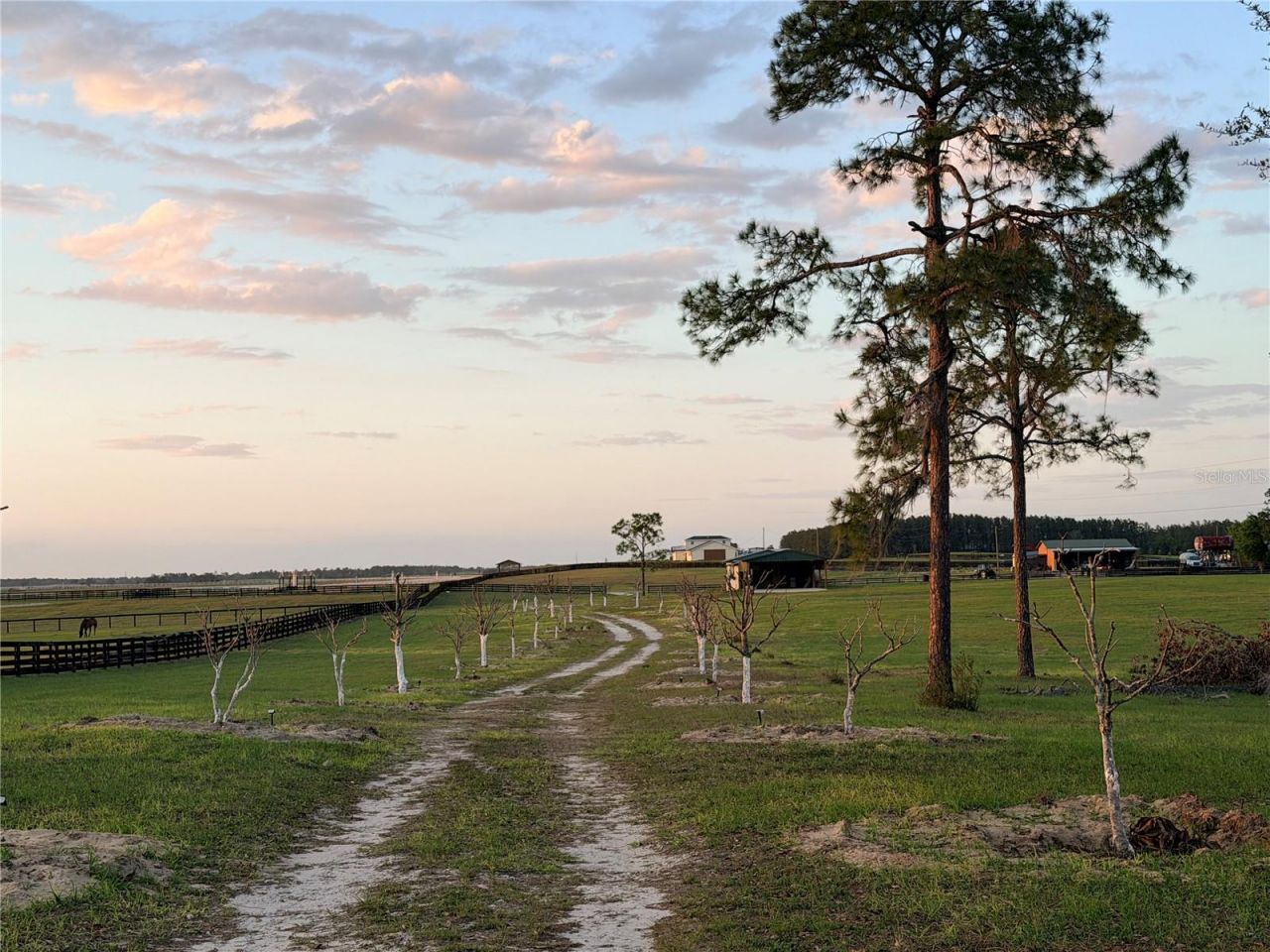 12451 NE 20th Street , Williston, FL 32696 Photo