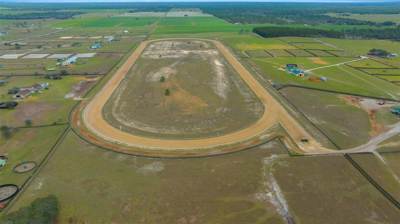 12451 NE 20th Street , Williston, FL 32696 Photo