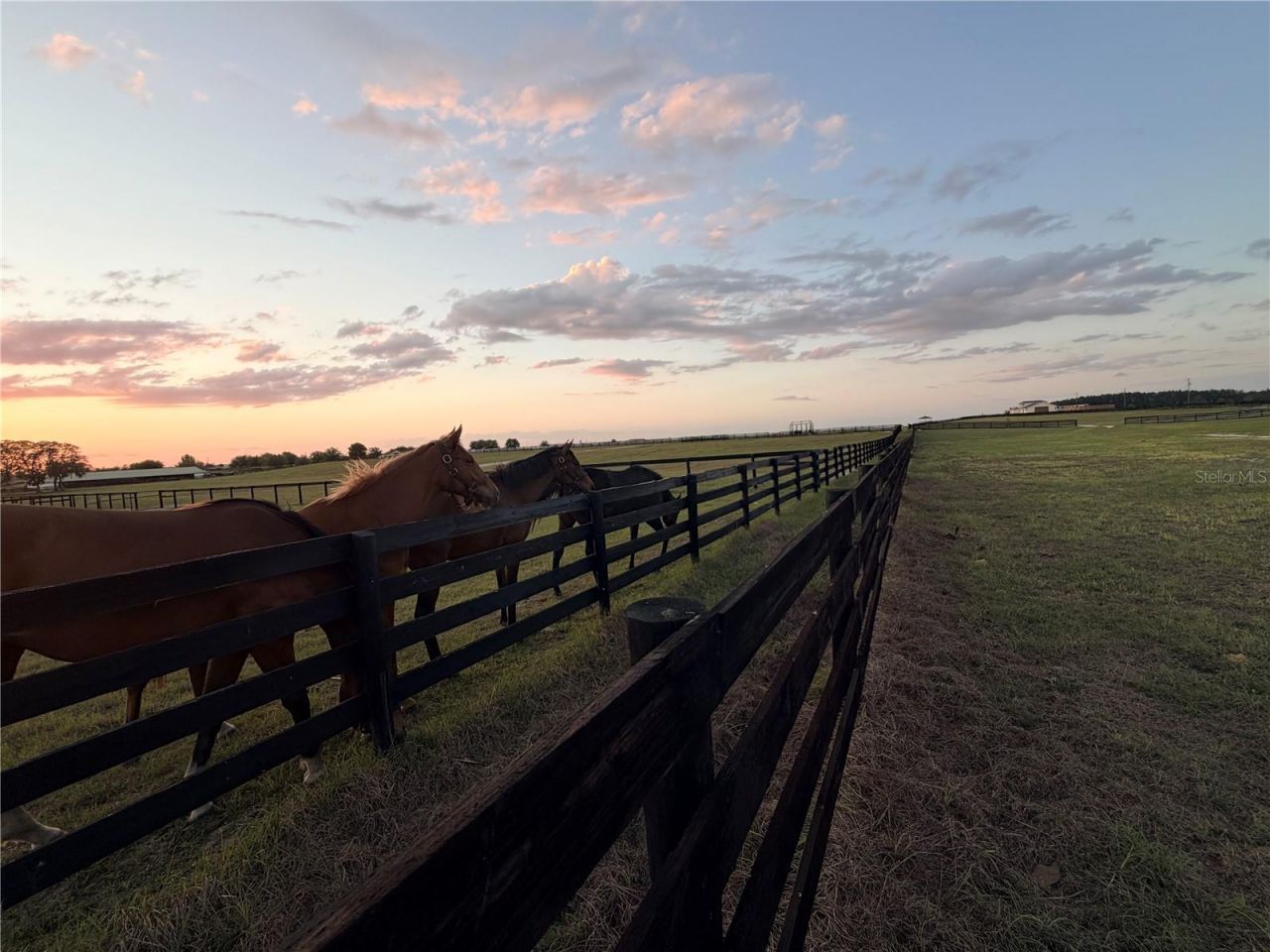 12451 NE 20th Street , Williston, FL 32696 Photo