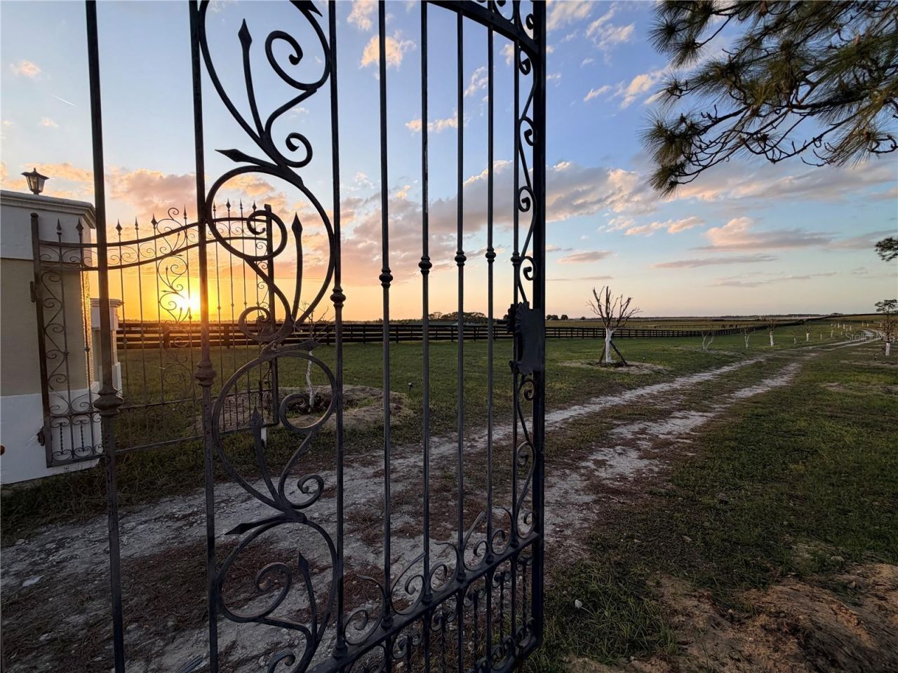 12451 NE 20th Street , Williston, FL 32696 Photo