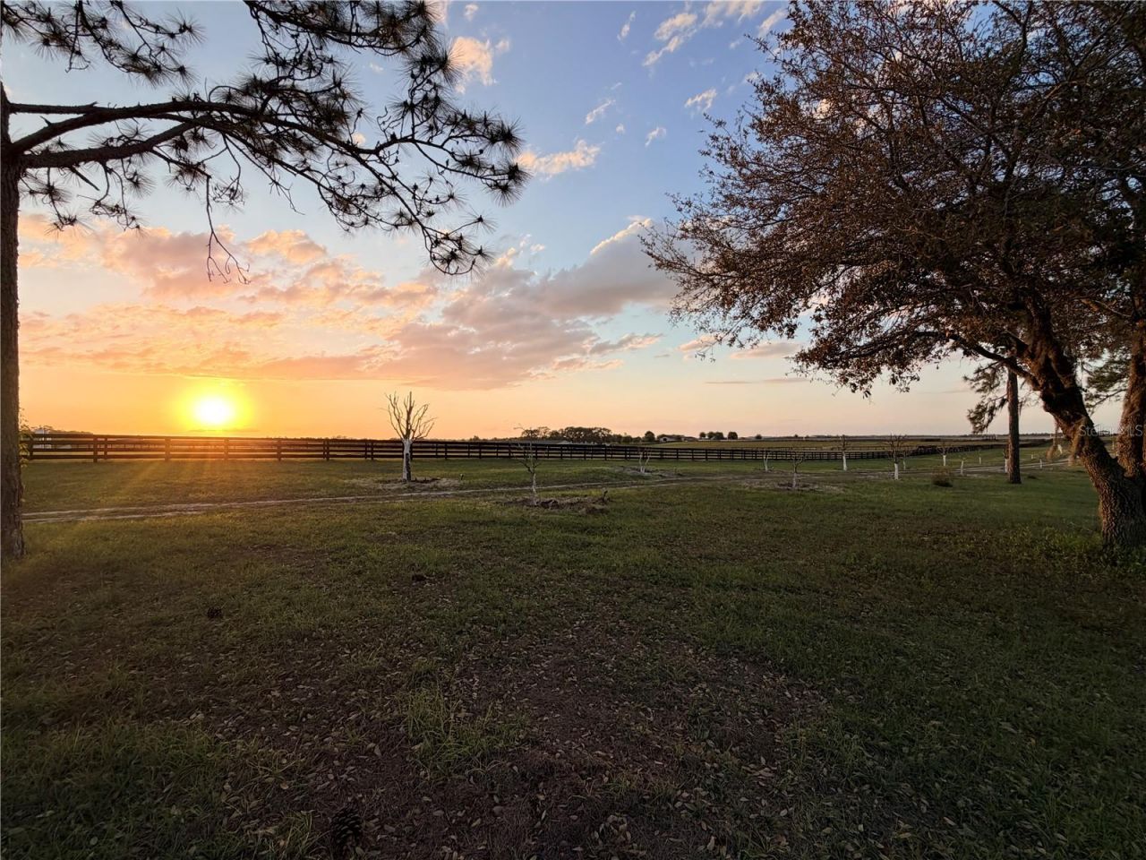 12451 NE 20th Street , Williston, FL 32696 Photo